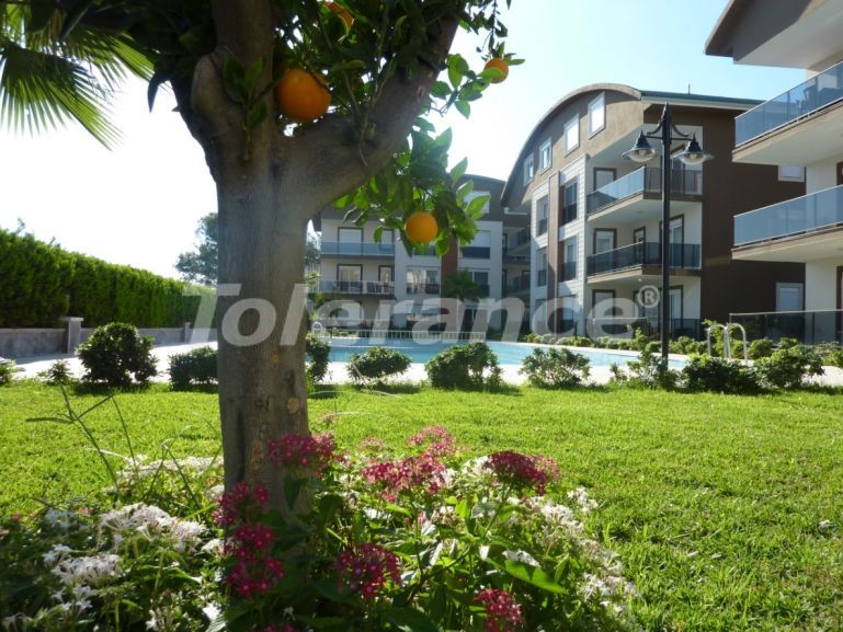 Elite apartments in Belek in the complex with  swimming pool - 22522 | Tolerance Homes