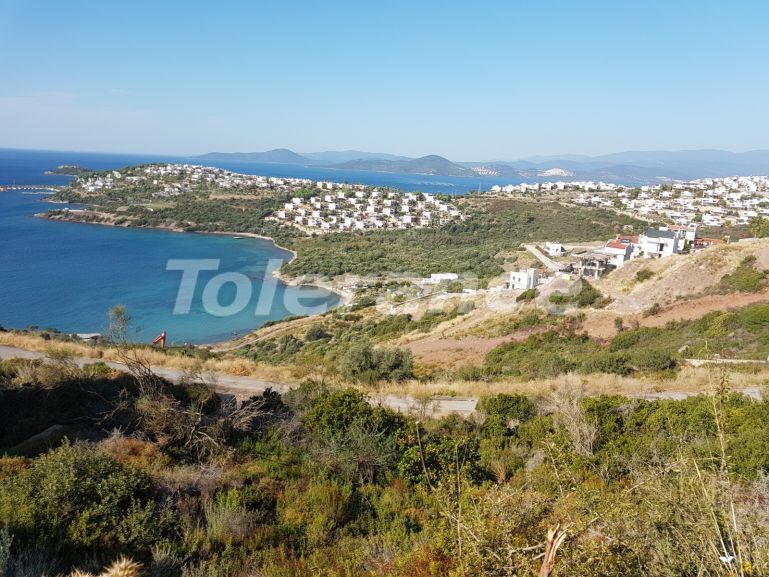 Plot of land in the reserve of the Bodrum Peninsula, in a residential complex on the beach - 23917 | Tolerance Homes