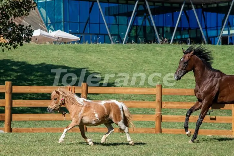 Apartment from the developer in Çekmeköy, İstanbul pool installment - buy realty in Turkey - 40281