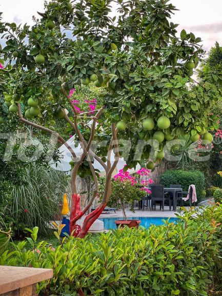 Apartment in Kemer Zentrum, Kemer pool - 110785 Apartment in Kemer Zentrum, Kemer pool - immobilien in der Türkei kaufen - 110785