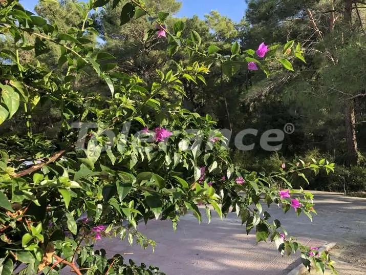 Apartment from the developer in City Center, Kemer with pool - buy realty in Turkey - 14628