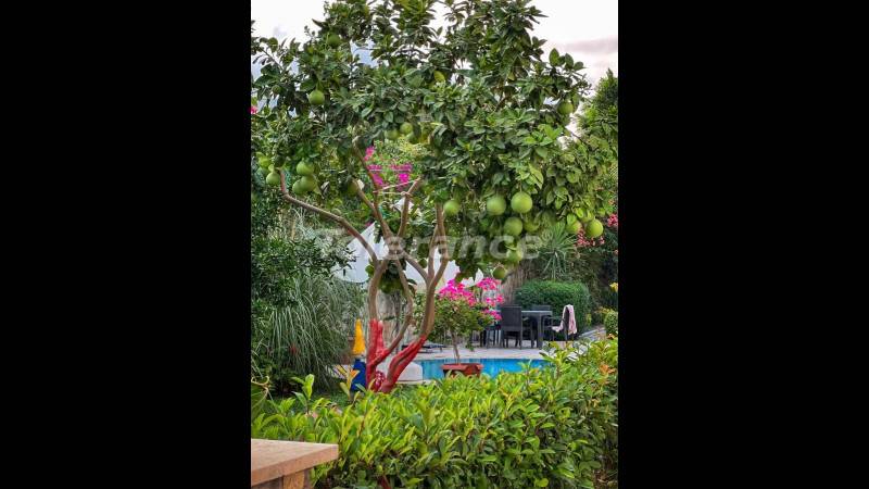 Apartment in City Center, Kemer with pool - buy realty in Turkey - 110785