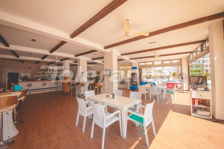 شقق في:في فاماغوستا, قبرص الشمالية - شراء عقار في تركيا - 71748