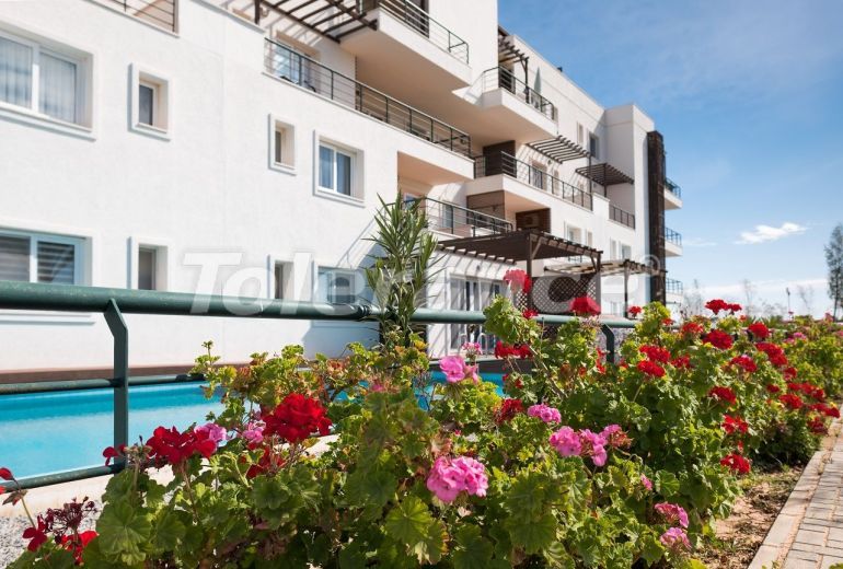 آپارتمان که در فاماقوستا, قبرس شمالی منظره دریا استخر - 77447 آپارتمان که در فاماقوستا, قبرس شمالی منظره دریا استخر - خرید ملک در ترکیه - 77447