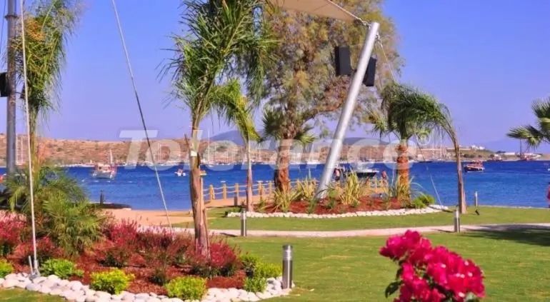 شقق في:في غومبيت بودروم مسبح - 17445 شقق في:في غومبيت بودروم مسبح - شراء عقار في تركيا - 17445