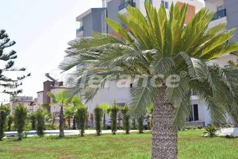 Apartment from the developer in Kepez, Antalya pool - buy realty in Turkey - 15587