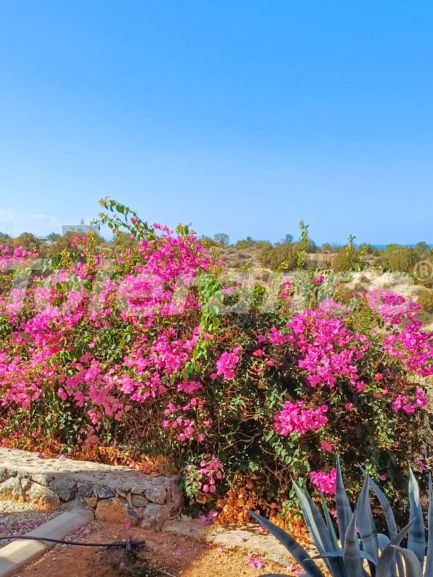 Apartment in Kyrenia, Nordzypern meeresblick pool - immobilien in der Türkei kaufen - 131326