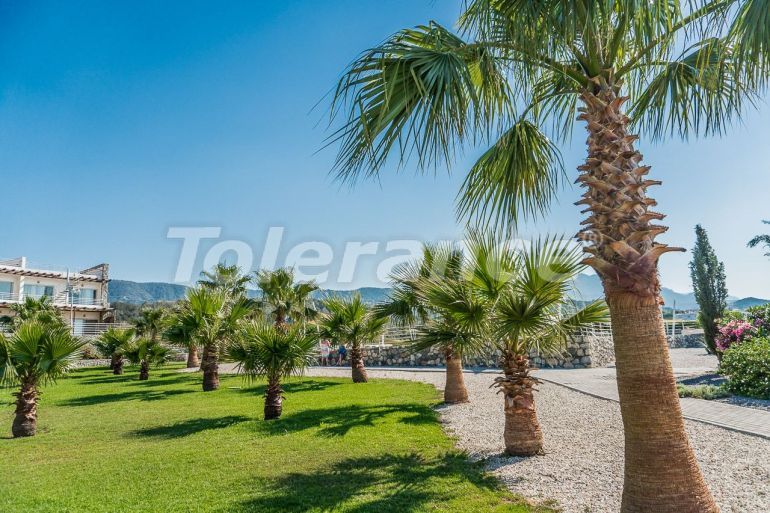 Appartement еn Kyrénia, Chypre du Nord vue sur la mer piscine - acheter un bien immobilier en Turquie - 137143