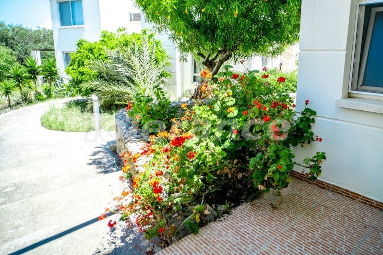 شقق في:في كيرينيا, قبرص الشمالية اطلالة على البحر مسبح - 85530 شقق في:في كيرينيا, قبرص الشمالية اطلالة على البحر مسبح - شراء عقار في تركيا - 85530