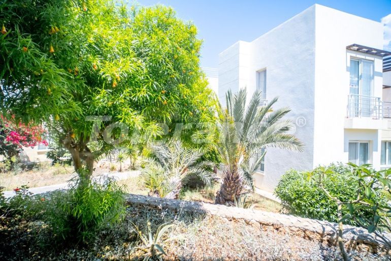 شقق في:في كيرينيا, قبرص الشمالية اطلالة على البحر مسبح - 85554 شقق في:في كيرينيا, قبرص الشمالية اطلالة على البحر مسبح - شراء عقار في تركيا - 85554