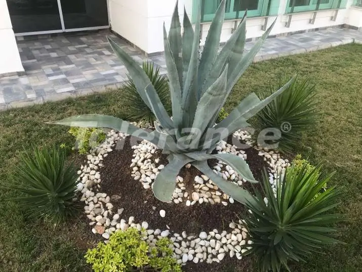 شقق من المتعهد في:في لارا, أنطاليا مسبح - 8155 شقق من المتعهد في:في لارا, أنطاليا مسبح - شراء عقار في تركيا - 8155