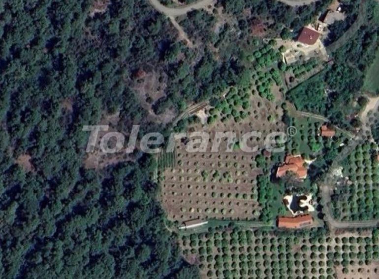 Land lot in Goynuk, Kemer - buy realty in Turkey - 98433