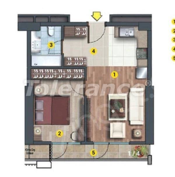 آپارتمان از سازنده که در اسن یورت, استانبول استخر اقساط - خرید ملک در ترکیه - 27216