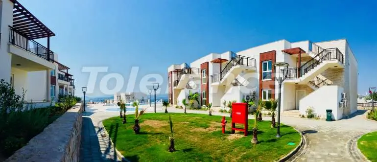 فلل من المتعهد في:في أدا بوكو بودروم اطلالة على البحر مسبح تقسيط - 7495 فلل من المتعهد في:في أدا بوكو بودروم اطلالة على البحر مسبح تقسيط - شراء عقار في تركيا - 7495