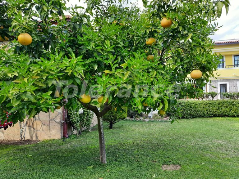 Villa in Arslanbucak, Kemer pool - 116136 Villa in Arslanbucak, Kemer pool - immobilien in der Türkei kaufen - 116136