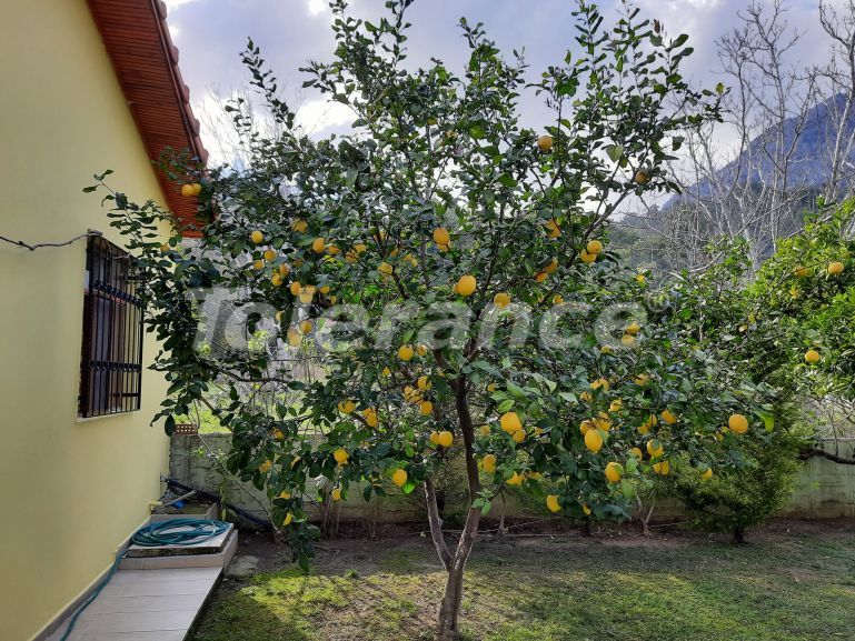 Villa in Arslanbucak, Kemer pool - 116149 Villa in Arslanbucak, Kemer pool - immobilien in der Türkei kaufen - 116149