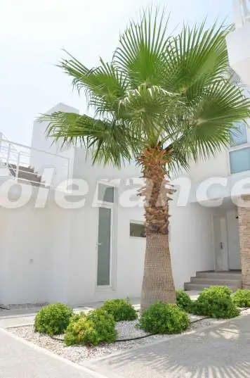 Villa van de ontwikkelaar in Belek zwembad - 5808 Villa van de ontwikkelaar in Belek zwembad - onroerend goed kopen in Turkije - 5808