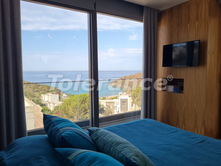 Villa du développeur еn Bodrum vue sur la mer piscine - 67305 Villa du développeur еn Bodrum vue sur la mer piscine - acheter un bien immobilier en Turquie - 67305