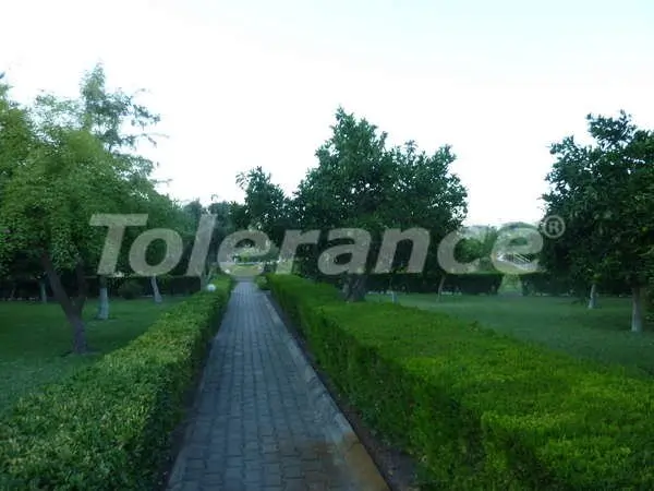 ویلا از سازنده که در چامیووا, کمر استخر - 2025 ویلا از سازنده که در چامیووا, کمر استخر - خرید ملک در ترکیه - 2025