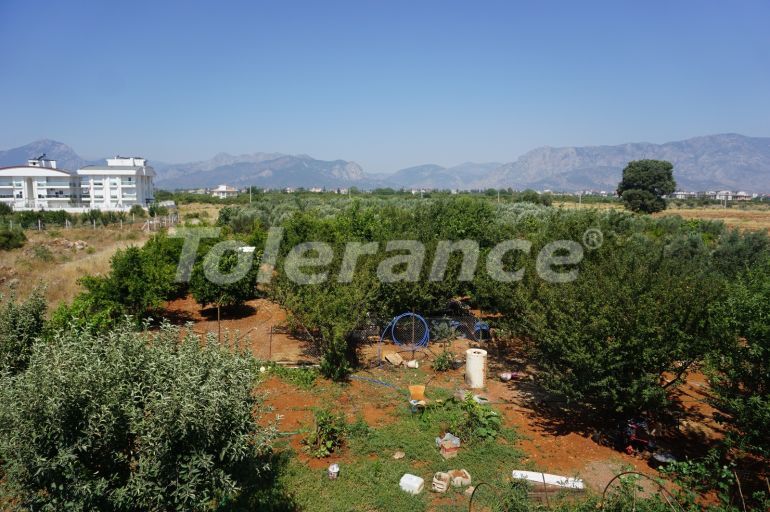 فلل في:في دوشيمالتي, أنطاليا مسبح - 51813 فلل في:في دوشيمالتي, أنطاليا مسبح - شراء عقار في تركيا - 51813