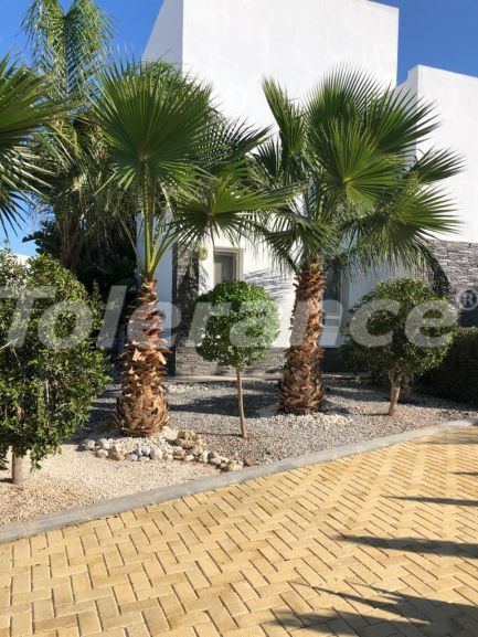 ویلا که در فاماقوستا, قبرس شمالی استخر - خرید ملک در ترکیه - 110145