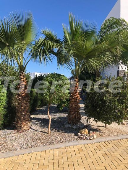 ویلا که در فاماقوستا, قبرس شمالی استخر - خرید ملک در ترکیه - 110146