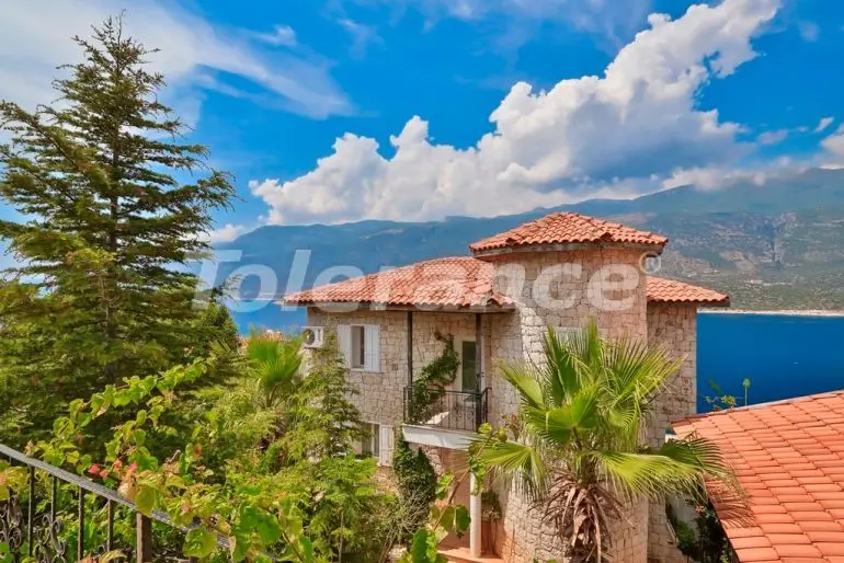 Villa еn Kaş piscine - 21744 Villa еn Kaş piscine - acheter un bien immobilier en Turquie - 21744