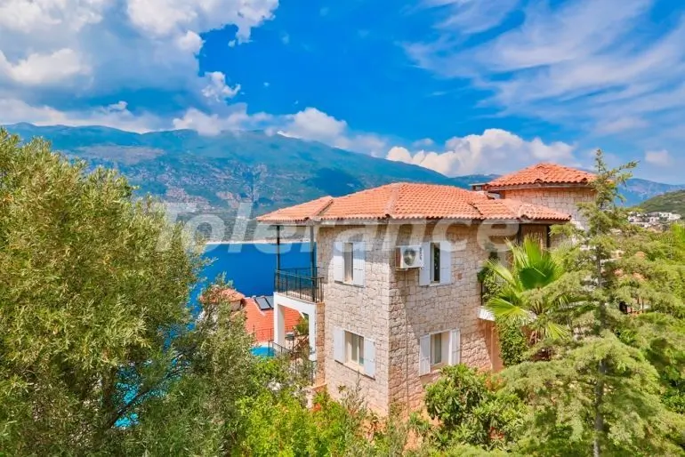 Villa in Kas pool - buy realty in Turkey - 21746