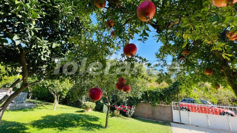 ویلا که در کیریش, کمر استخر - خرید ملک در ترکیه - 136652