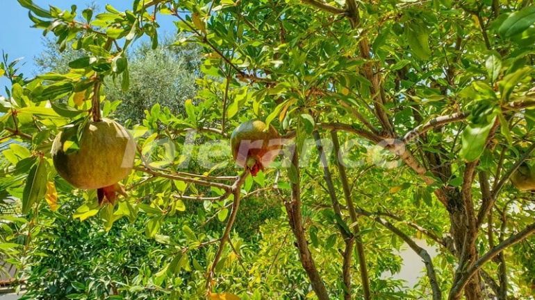 فلل في:في كيرينيا, قبرص الشمالية - 73472 فلل في:في كيرينيا, قبرص الشمالية - شراء عقار في تركيا - 73472