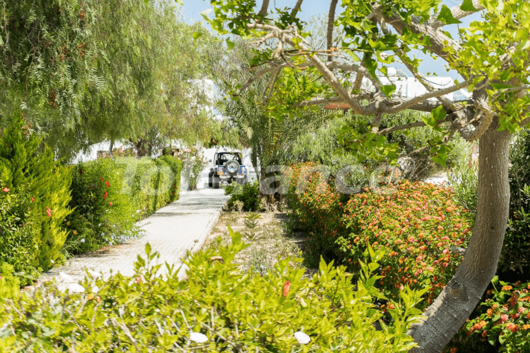 Villa in Kyrenia, Northern Cyprus with pool - buy realty in Turkey - 74576