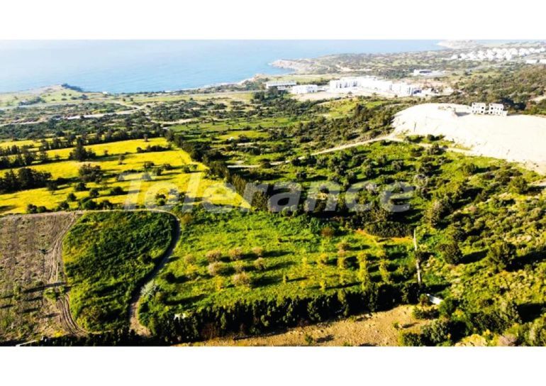 فلل من المتعهد في:في كيرينيا, قبرص الشمالية اطلالة على البحر - 77393 فلل من المتعهد في:في كيرينيا, قبرص الشمالية اطلالة على البحر - شراء عقار في تركيا - 77393