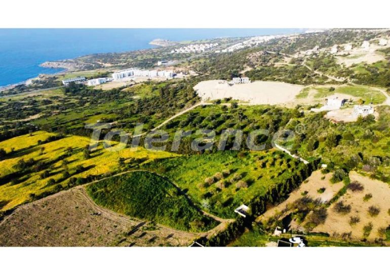 فلل من المتعهد في:في كيرينيا, قبرص الشمالية اطلالة على البحر - 91648 فلل من المتعهد في:في كيرينيا, قبرص الشمالية اطلالة على البحر - شراء عقار في تركيا - 91648
