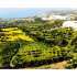 Villa vom entwickler in Kyrenia, Nordzypern meeresblick ratenzahlung - immobilien in der Türkei kaufen - 77393