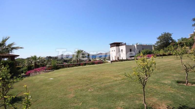 فلل من المتعهد في:في يالكيفاك, بودروم اطلالة على البحر مسبح - شراء عقار في تركيا - 12954