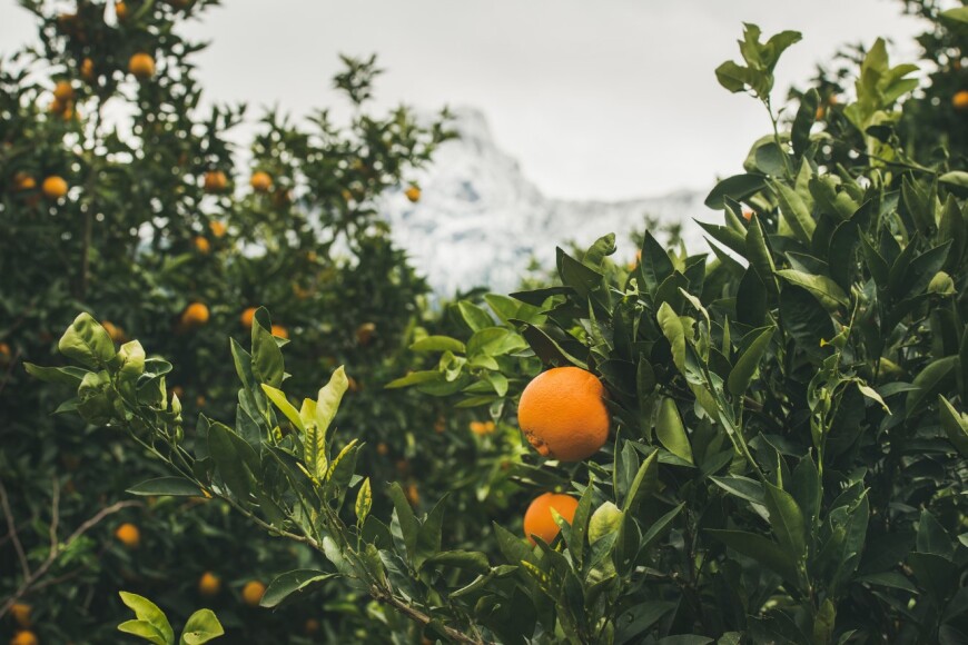 Ecologie en Turquie